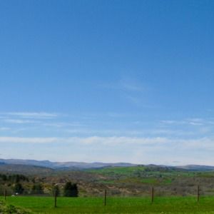 Meet your Posher, Spencer